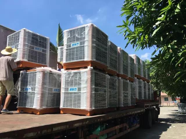 工廠車間快速降溫方法，你知道嗎？