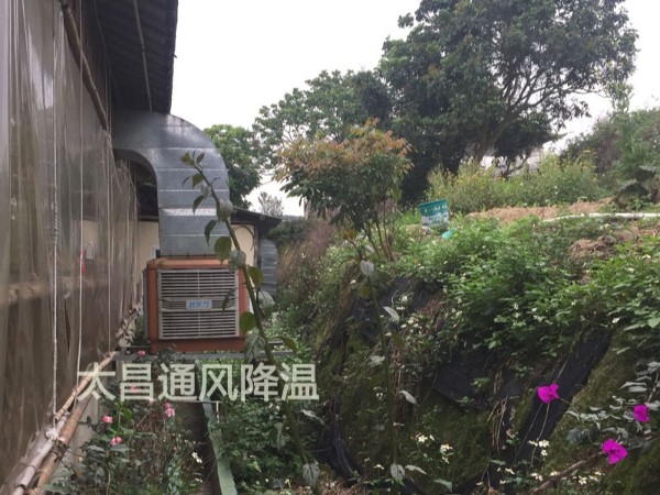餐廳太熱？環(huán)保空調為你送清風